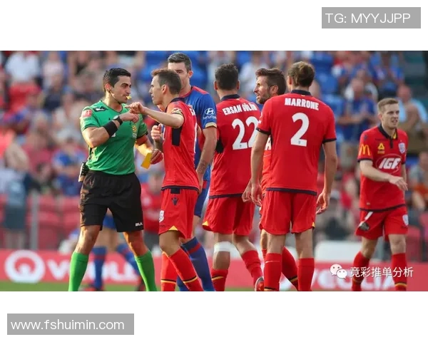 澳洲甲联赛精彩对决阿德莱德主场迎战惠灵顿凤凰